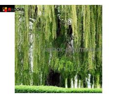 Крупномеры в Москве и Подмосковье с доставкой и посадкой