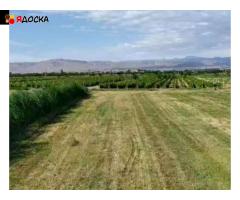 Земельные участки ИЖС, ЛПХ в Минераловодском муниципальном городском округе