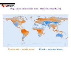 Производство природных почвоулучшителей - 2