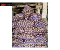 Картофель, капуста, свекла и морковь оптом в мешках и вентилируемой сетке / 1