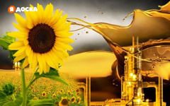 Масло подсолнечное рафинированное дезодорированное