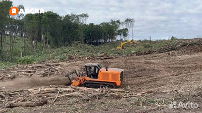 Расчистка территорий от деревьев и пней от 1 Га