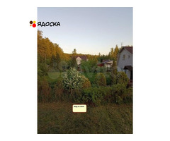 Дача в лесу