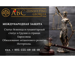 Международная защита, статус беженца и гуманитарный статус в Грузии и странах Евросоюза