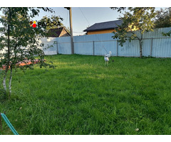 Продам участок с дачным домом в 5 км от г Выборга - 8